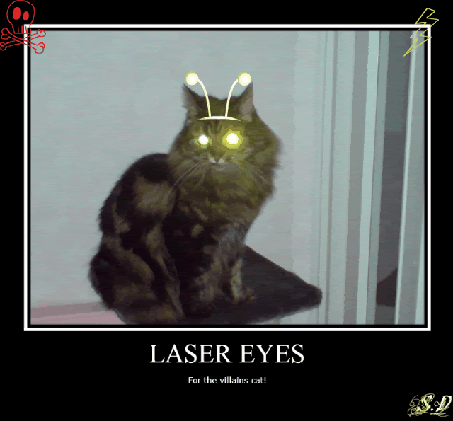 Laser Eye Cat gif by Silvara_Dragontear Photobucket