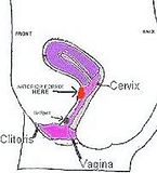 afe_zone.jpg image by darma_jelek