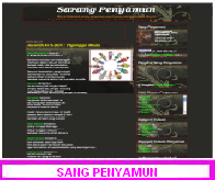 Sang Penyamun