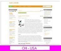 Blog Chi-USA