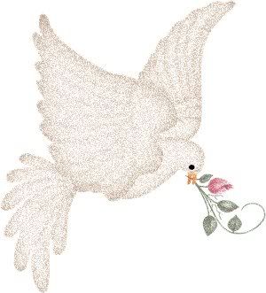 White dove Pictures, Images and Photos