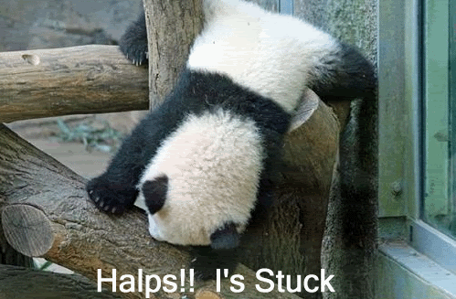 AnimalslolFunnyPandaCaption072407.gif