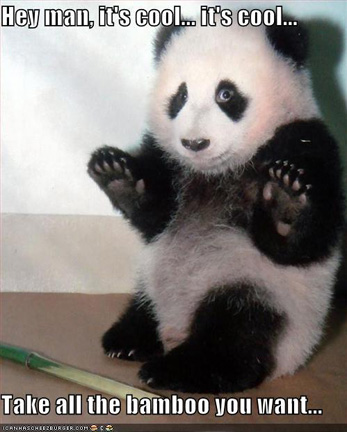cute-panda-lrg.png