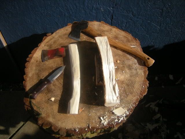 DSCN0450.jpg
