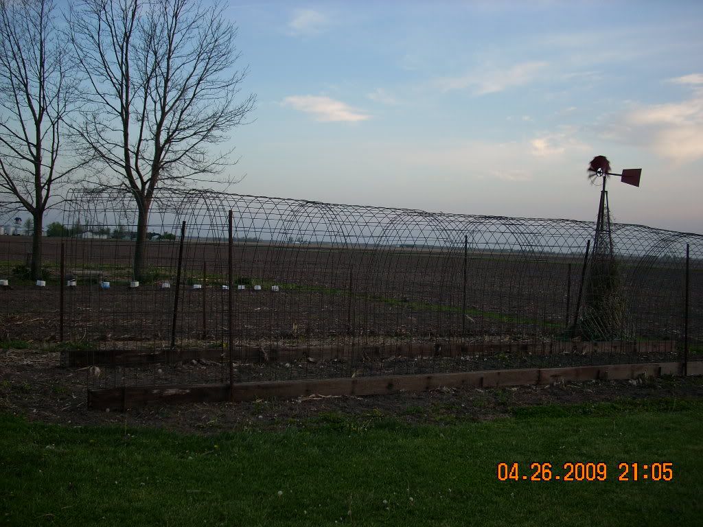 garden035 - Show Posts - Raquelproud boholana garden035 - Show Posts - Raquelproud boholana