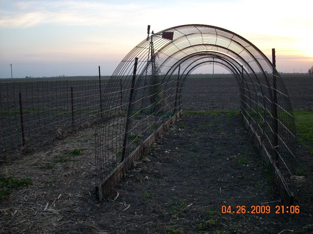 garden037 - Show Posts - Raquelproud boholana garden037 - Show Posts - Raquelproud boholana