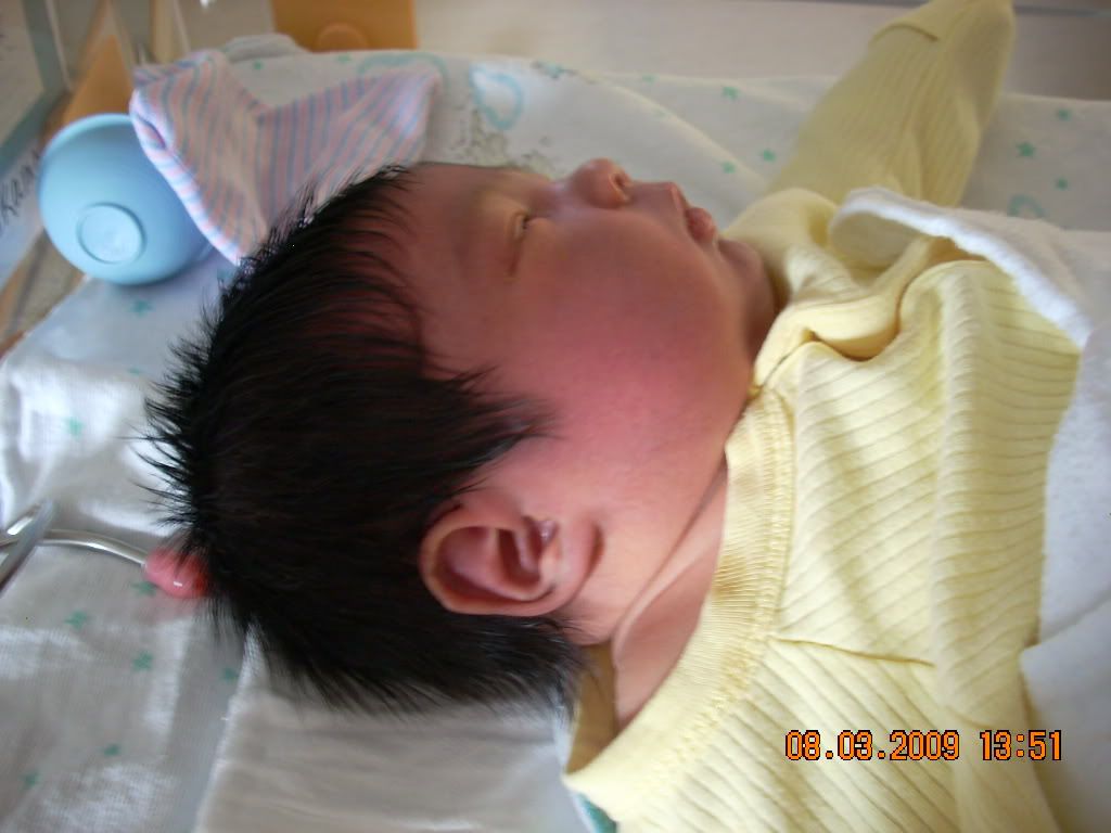 jacob048 - Show Posts - Raquelproud boholana jacob048 - Show Posts - Raquelproud boholana