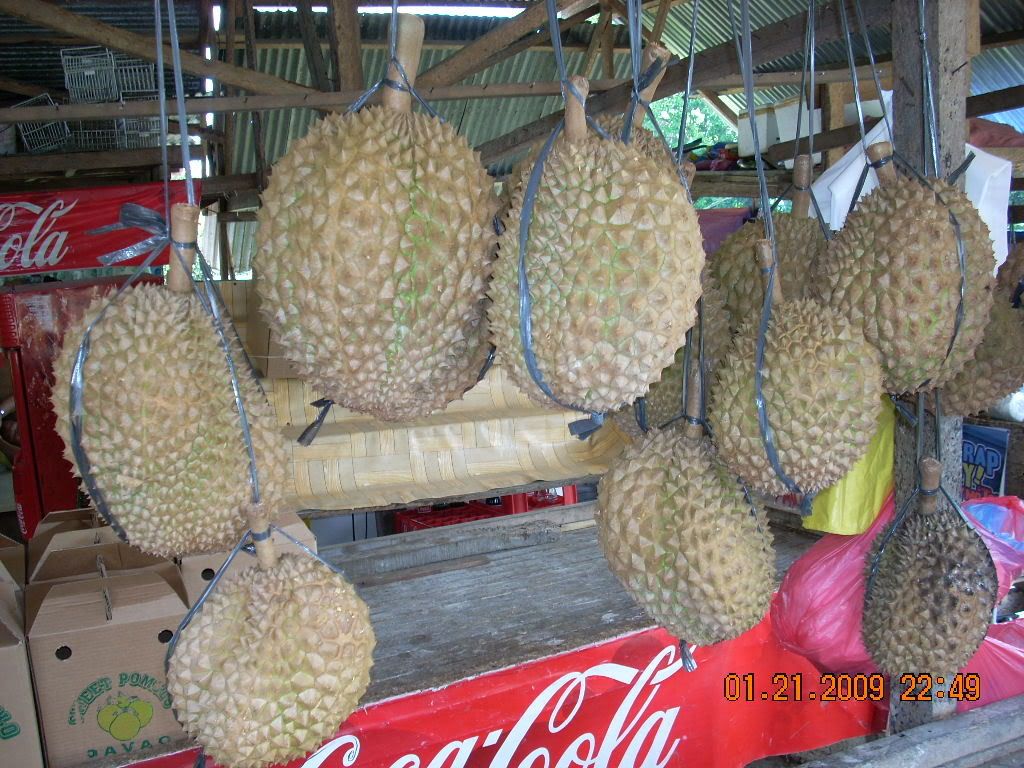 surigao107 - Show Posts - Raquelproud boholana surigao107 - Show Posts - Raquelproud boholana