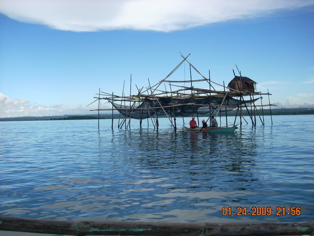 surigao259 - Show Posts - Raquelproud boholana surigao259 - Show Posts - Raquelproud boholana