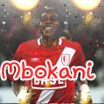 http://i356.photobucket.com/albums/oo8/cyborg_027/Mbokani.jpg