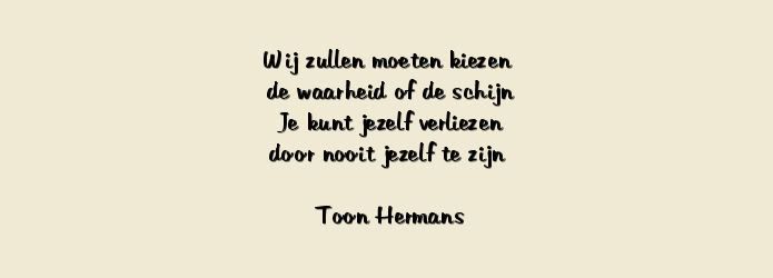 toon hermans herinneringen aan toon hermans herinneringen aan